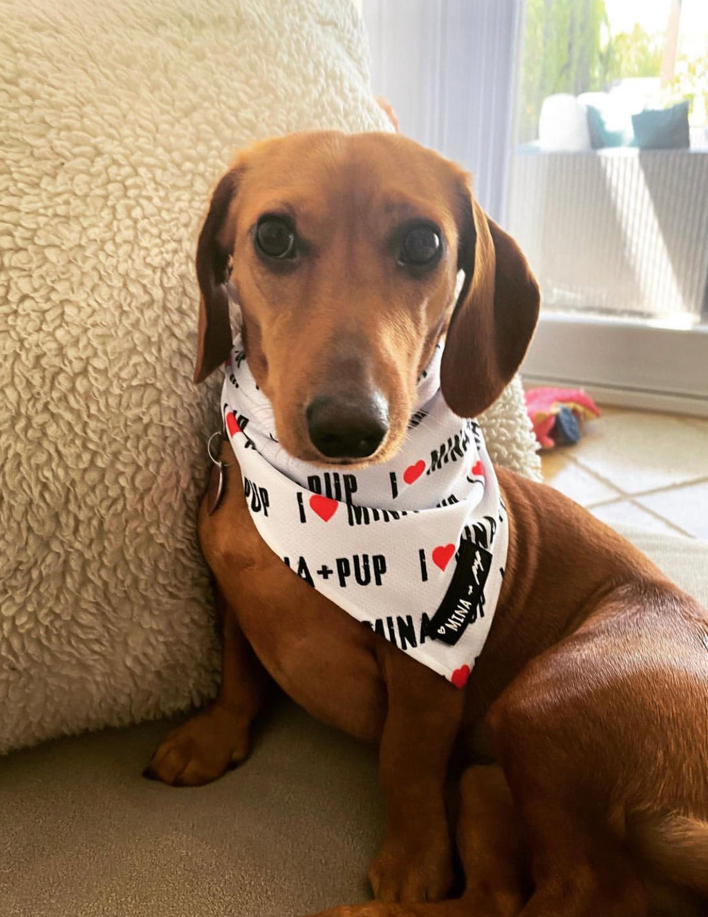 Cool Your Pup in Style — Dog Cooling Tie Bandana