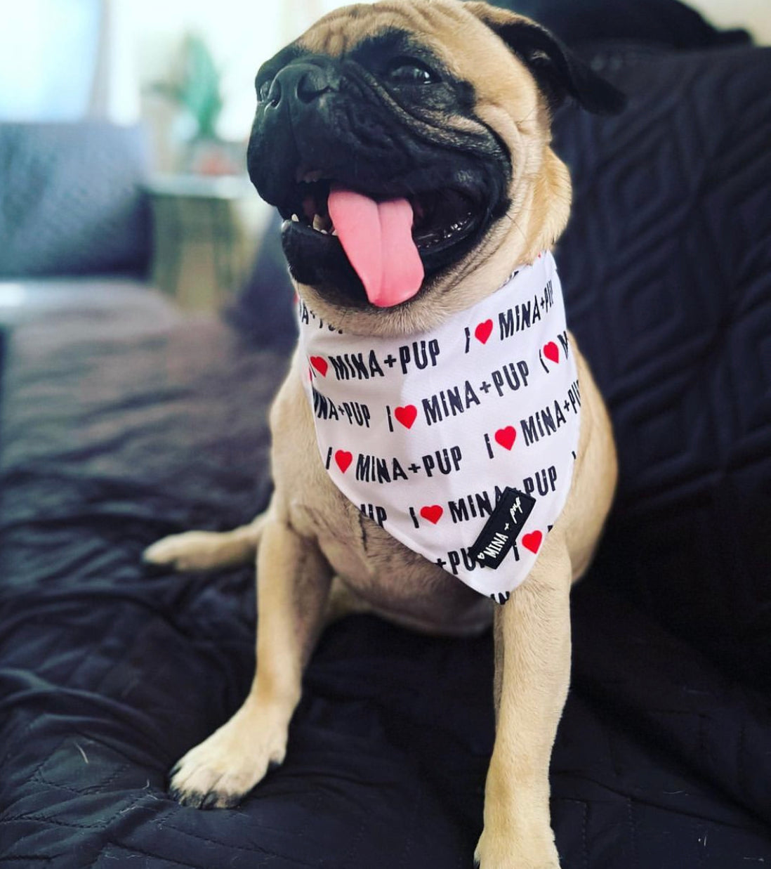 Cool Your Pup in Style — Dog Cooling Tie Bandana